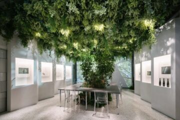 “モリゾウ、森を飲む”発想から生まれた 「MORIZO TEA」 静岡・<b>富士</b>の雄大な自然を五感で感じる …