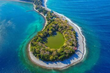 海からわずか15メートルの場所にあるにもかかわらず淡水魚が生息する神池（関連画像3枚）