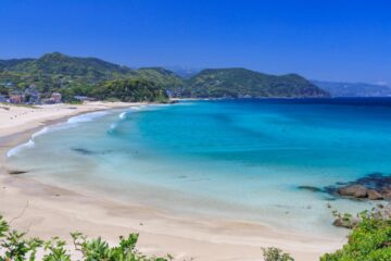 下田・南伊豆など海水浴シーズン本格化 7月19日から順次海開き
