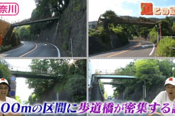 【神奈川・湯河原】温泉地に潜む４本の“謎の歩道橋”【道との遭遇】 – CBCテレビ