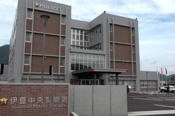 伐採作業中に倒木が男性の頭に…64歳男性、病院に運ばれるも死亡 労災事故とみて原因など …