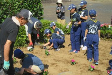 ＢＳ団員らも協力 <b>函南</b>ＬＣ、花壇を植え替え – 伊豆新聞デジタル