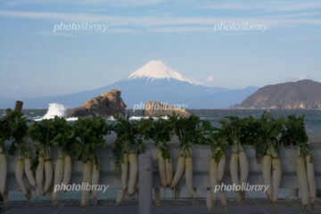 <b>松崎町</b>雲見 海越しの富士山 写真素材 [ 6425393 ] – フォトライブラリー photolibrary