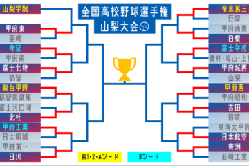 前回大会決勝カード 注目の1回戦は日本航空が制す 東海大甲府は初戦で涙 夏の高校野球山梨 …