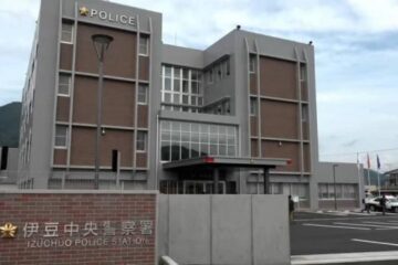 伐採作業中に倒木が男性の頭に…64歳男性、病院に運ばれるも死亡 労災事故とみて原因など …