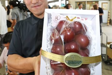 ルビーロマン七尾産１００万円 金沢市中央卸売市場で初競り 東京の果物販売店が購入 – 北國新聞