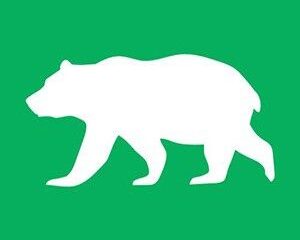 那須町の道路上でクマ目撃｜県内主要,事件事故,速報 – 下野新聞社