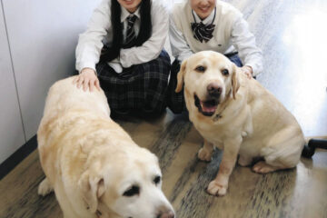 スクールドッグの効果絶大 <b>御殿場</b>西高、不登校から復帰も