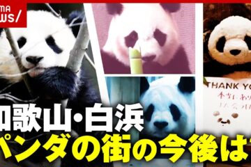 【パンダロス】「貴重なのにマスコミが全然…」返還後どうする？“砂浜でピアノ”和歌山・白浜町の …