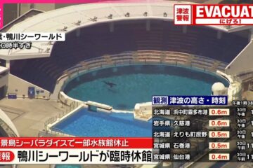 【速報】鴨川シーワールド、30日臨時休館 津波の影響 – YouTube