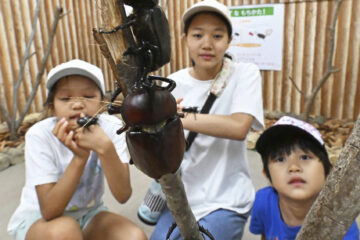 タッチできる！世界のカブトムシ、クワガタ集結 はままつフラワーパークで企画展 – Yahoo!ニュース