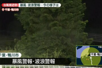 台風9号の影響は…千葉・鴨川市から中継 – 日テレNEWS NNN – 日本テレビ