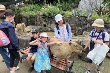 【夏休みの過ごし方】ぐらんばる公園＆シャボテン公園を満喫する３日間！<b>伊豆</b>ファンタジー …