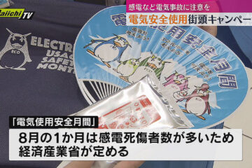 JR静岡駅で電気安全使用街頭キャンペーン 電気使用安全月間にあわせ中部電気保安協会など …