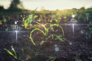 北大とNTT東日本ら、データ駆動型農業の実現に向けて新たな取り組みを開始 – SMART AGRI