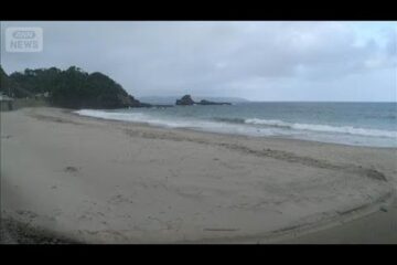 静岡県内で水難事故相次ぐ 海水浴場などで4人死亡(2025年8月3日) – YouTube