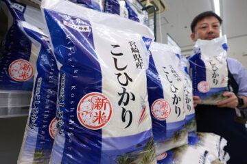 ２５年新米、高値スタート – 伊豆下田経済新聞