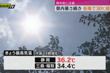 県内で気温上がる 午前中から35℃超の地点も 熱中症に注意を…(静岡) – dメニューニュース