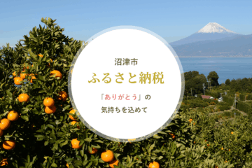 毎年8月と11月は「ふるさと納税月間」です！ – 沼津市