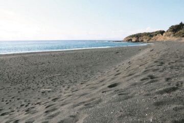 <b>伊豆</b>大島の海岸で交際女性の遺体を焼いた…46歳男が認める 弁護側「火葬し散骨しろ … – 47NEWS