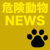 （青森）八戸市尻内町毛合<b>清水</b>でクマ出没 ８月１日昼 | NEWSjp