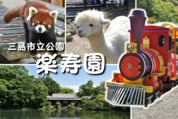【楽寿園】三嶋大祭り期間（8/15～17）入園無料＆夕方特別開園も実施！ – 静岡新聞