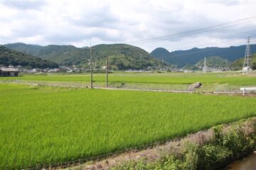 ［長崎県］工業団地用地開発へ 業者と協議スタート 東彼杵町 – 西日本新聞