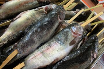 【<b>富士宮市</b>】まるで富士宮めぐりのよう！富士宮特産のくぬぎ鱒と自慢の玉子焼きが入ったう …