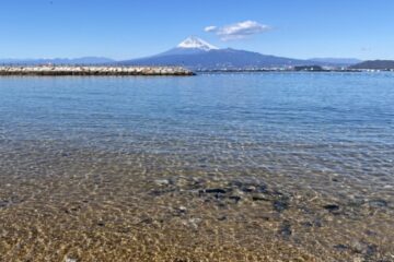 【<b>沼津市</b>】全国の”水質が特に良好な水浴場” 最高水質11カ所中５カ所が沼津から選出！